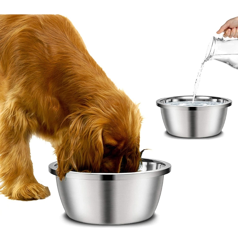 Миски для собак из нержавеющей – обзор и цена Royal Canin Food Medium